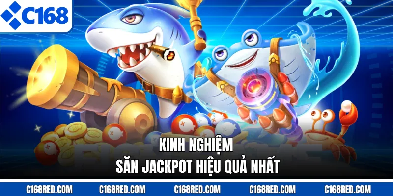 Kinh nghiệm săn jackpot hiệu quả nhất